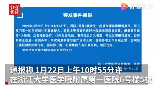 爆料浙江大学事件视频最新,真相与争议交织，校园风云再起