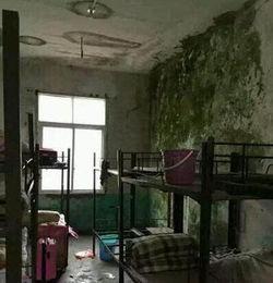 最新的瓜爆料学校宿舍,宿舍楼里的那些新鲜事儿