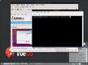 bsd最新爆料,揭秘科技巨头新动向与行业变革