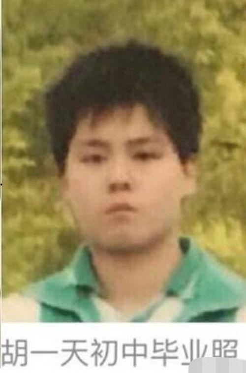 小胖解说爆料最新消息,娱乐圈最新动态大揭秘!