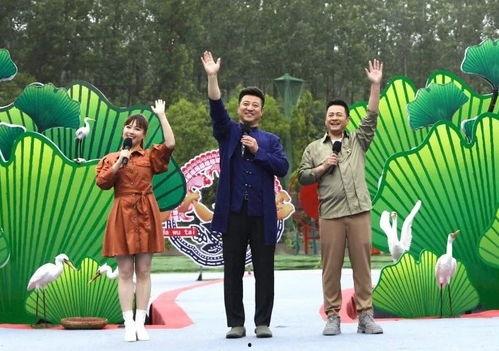 曹西平最新爆料新闻视频,揭秘事件背后惊人内幕