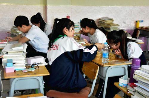 礼嘉中学爆料案件最新,真相揭开,校园安全再引关注